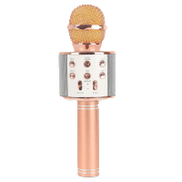 میکروفون اسپیکر خرید آنلاین ارزان با گارانتی بهترین کیفیت